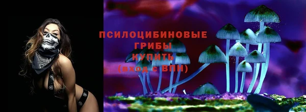 тгк Вяземский
