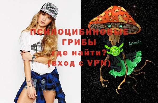 соль ск Россошь